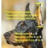 Orejeras para perros con orejas de corte + massage ears